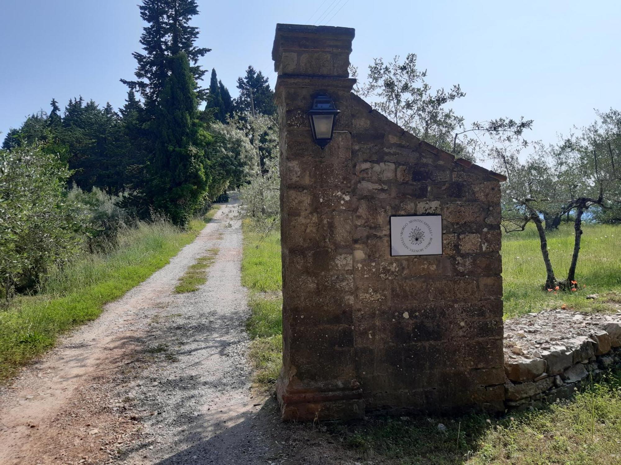 Casa Degli Ulivi - Cottage With Swimming Pool 卡斯特利纳－因基安蒂 外观 照片